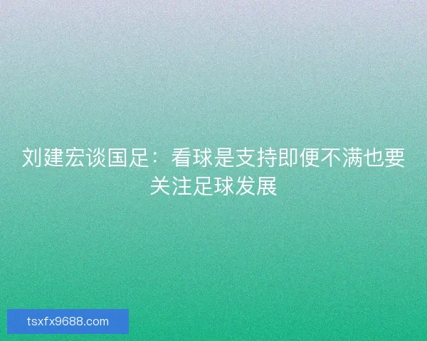 刘建宏谈国足：看球是支持即便不满也要关注足球发展